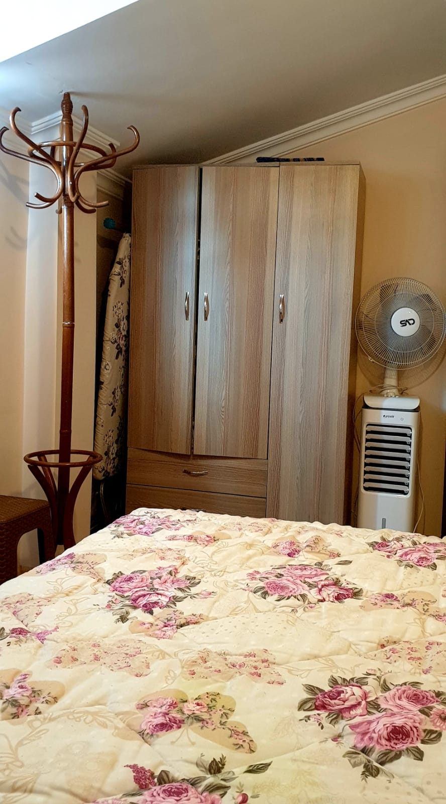 اجاره روزانه و ماهانه یکخواب در  آوجیلار